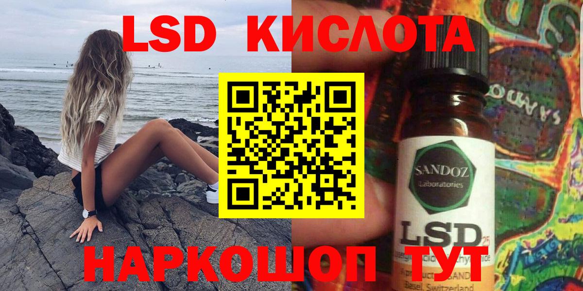 A PVP Кузнецк