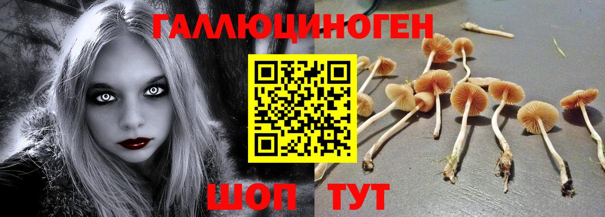 Галлюциногенные грибы мухоморы Кузнецк
